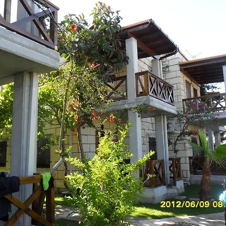 Borabora ביטז
