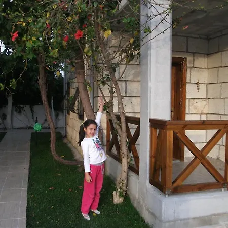 Borabora מלון ביטז