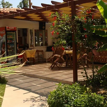 Borabora 酒店 比特兹
