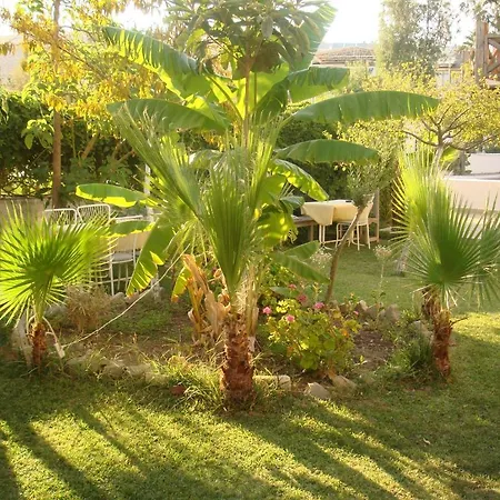 Borabora Bitez
